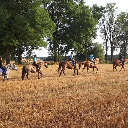 Dom wakacyjny Letniskowy Pod Dębem *